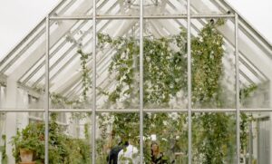 greenhouse
