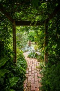 green-path